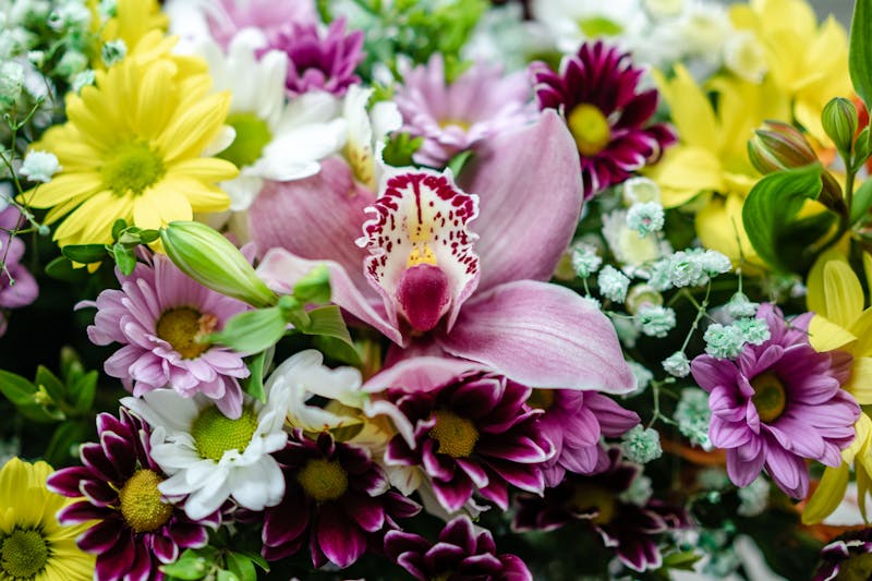 Abonnement floral mensuel